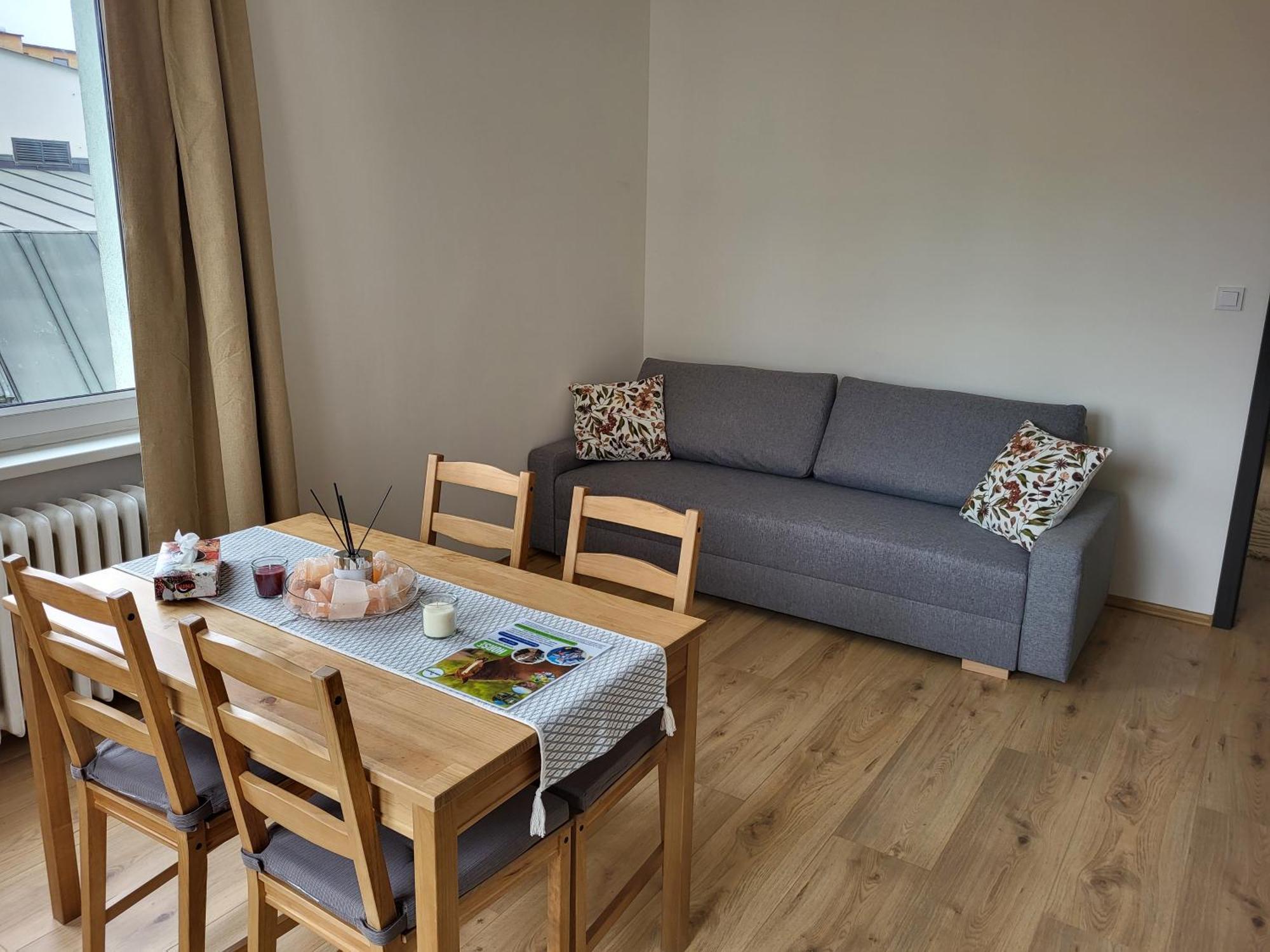 City Center Apartments - Moderna Brno Rimske Namesti IV 외부 사진